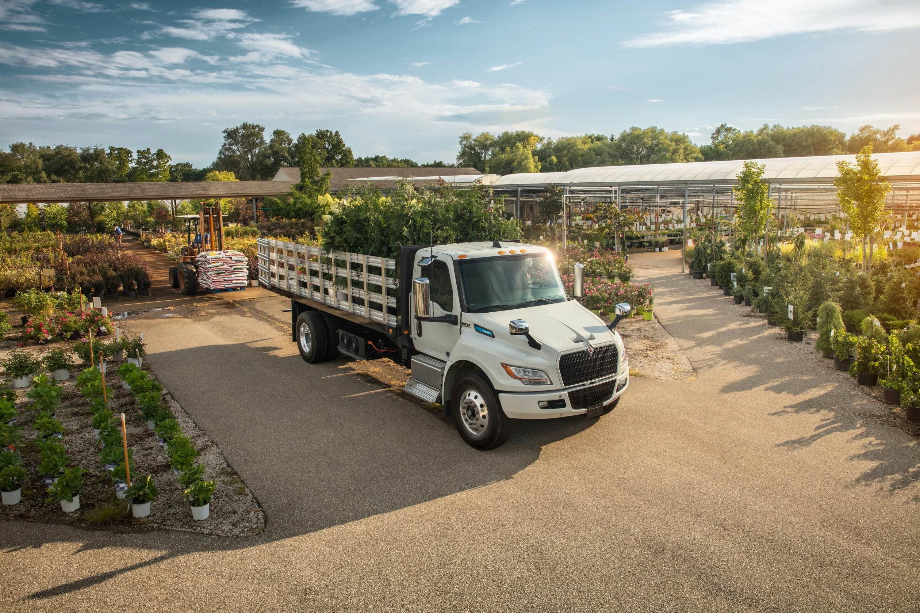 A truck with a bed of plants